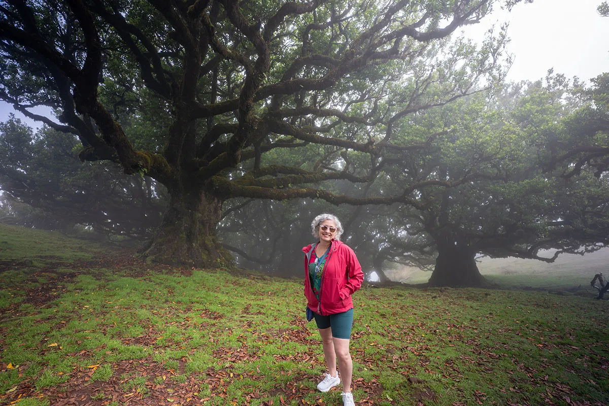 Fanal, Ilha da Madeira: Um dos lugares mais fotogênicos do Mundo