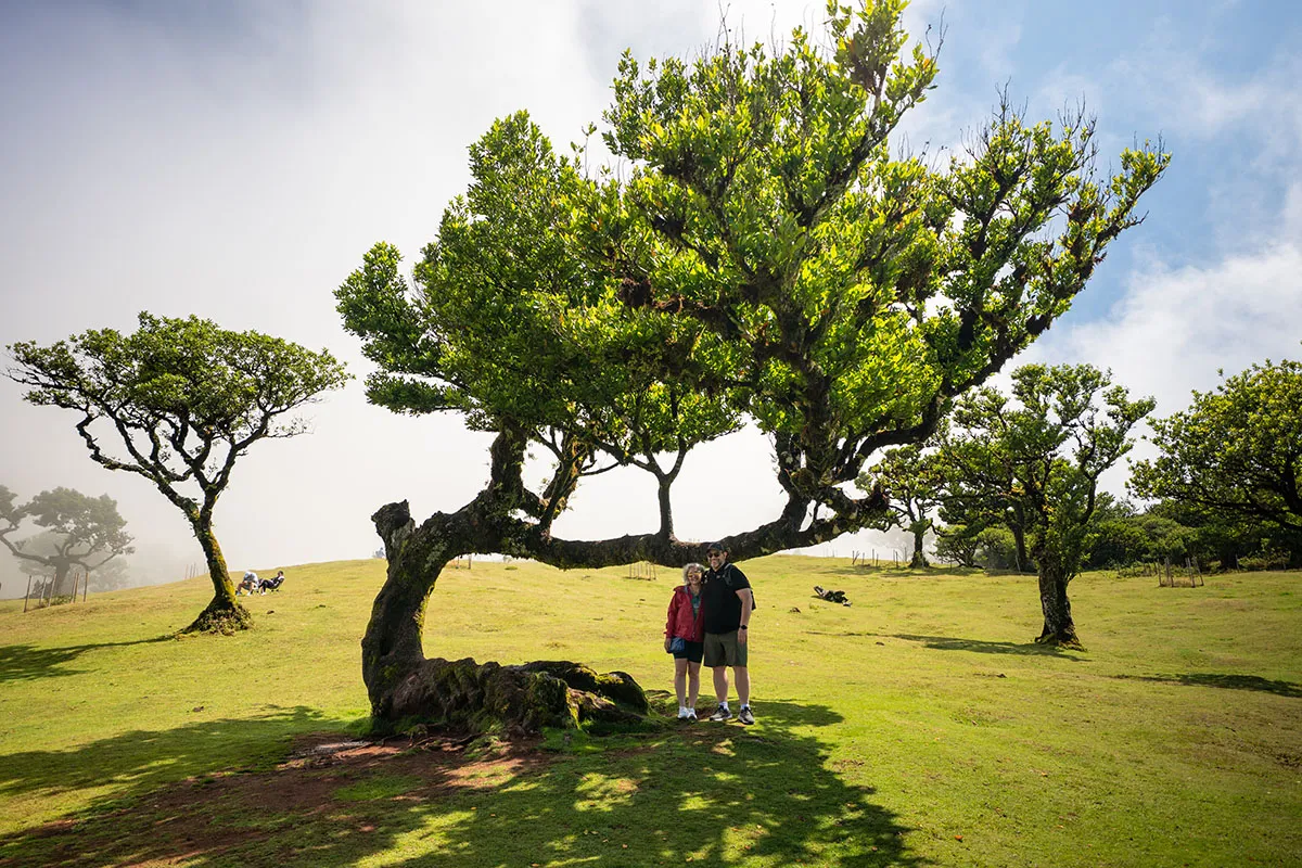 Registro da viagem: Vale a pena visitar o Fanal?