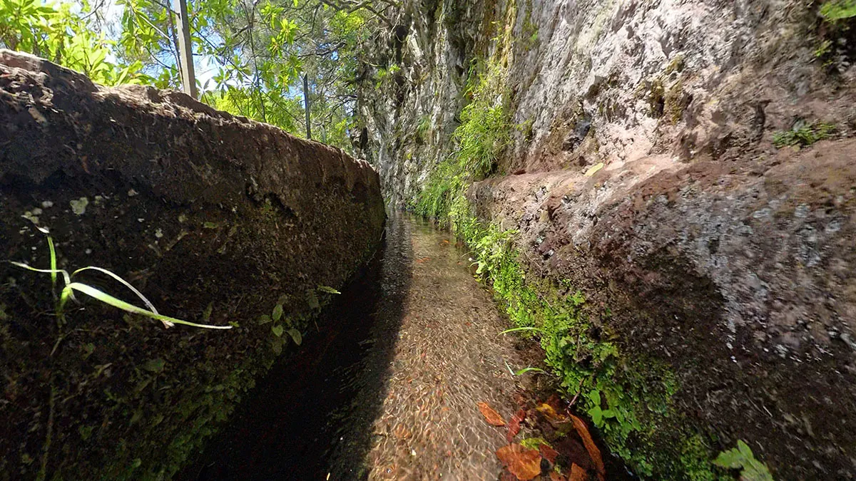 Levada do Caldeirão Verde – Nossa experiência em uma trilha de 12 km na Madeira
