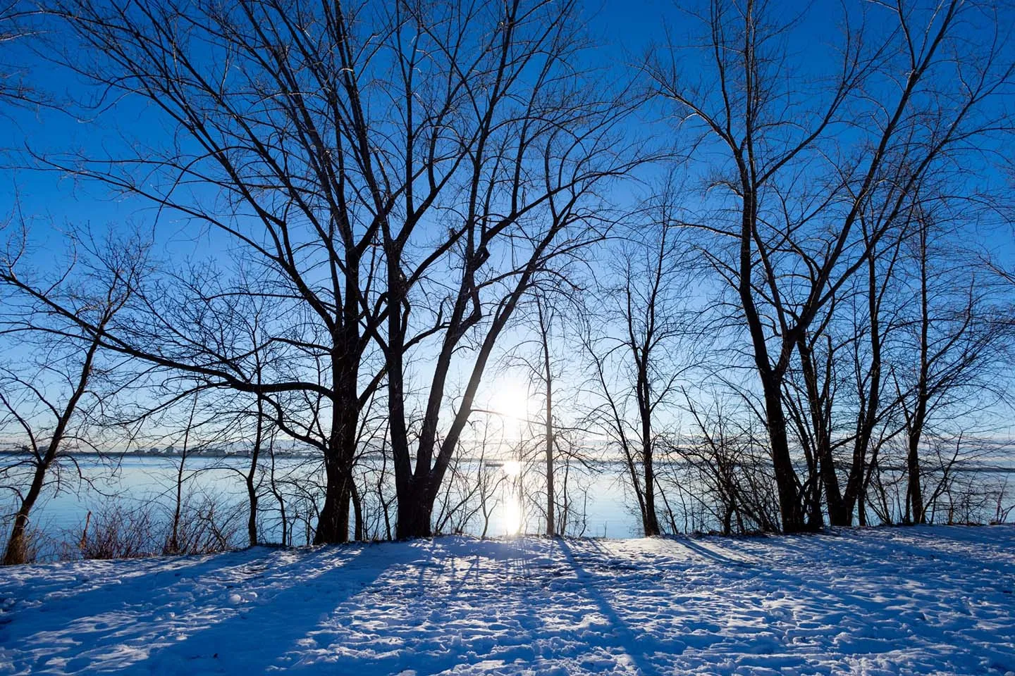 Vale a Pena Visitar Montreal no Inverno? A Realidade (Nua e Gelada) de quem mora aqui