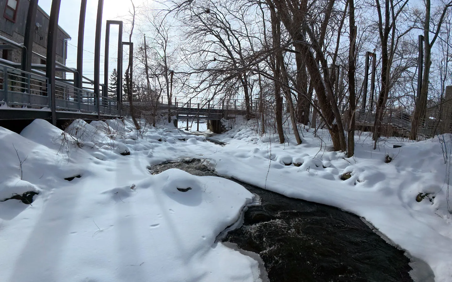 Vale a Pena Visitar Montreal no Inverno? A Realidade (Nua e Gelada) de quem mora aqui 5
