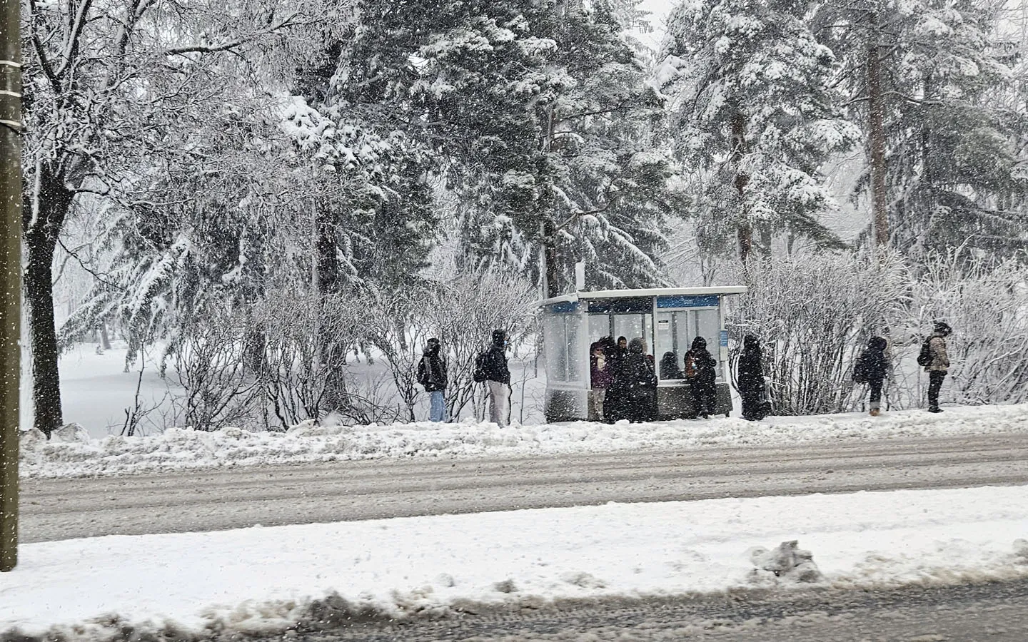 Vale a Pena Visitar Montreal no Inverno? A Realidade (Nua e Gelada) de quem mora aqui 7