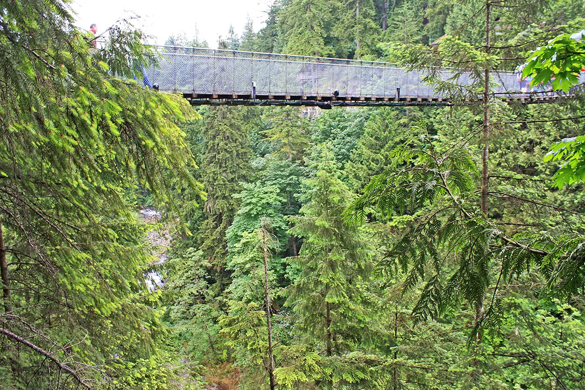Capilano Suspension Bridge