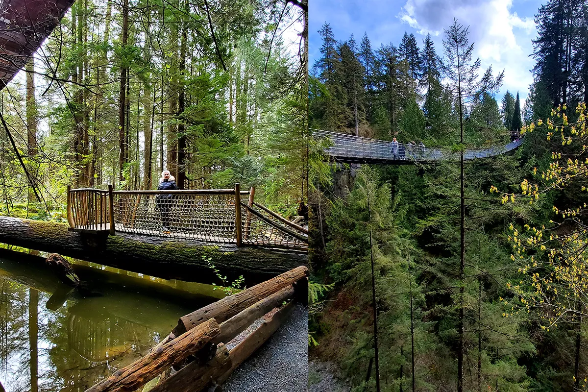 Capilano Suspension Bridge
