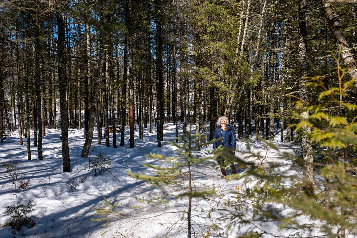 O Castelo da Elsa no Quebec? Conheça a Mur de Glace no Parc naturel régional de Portneuf 3