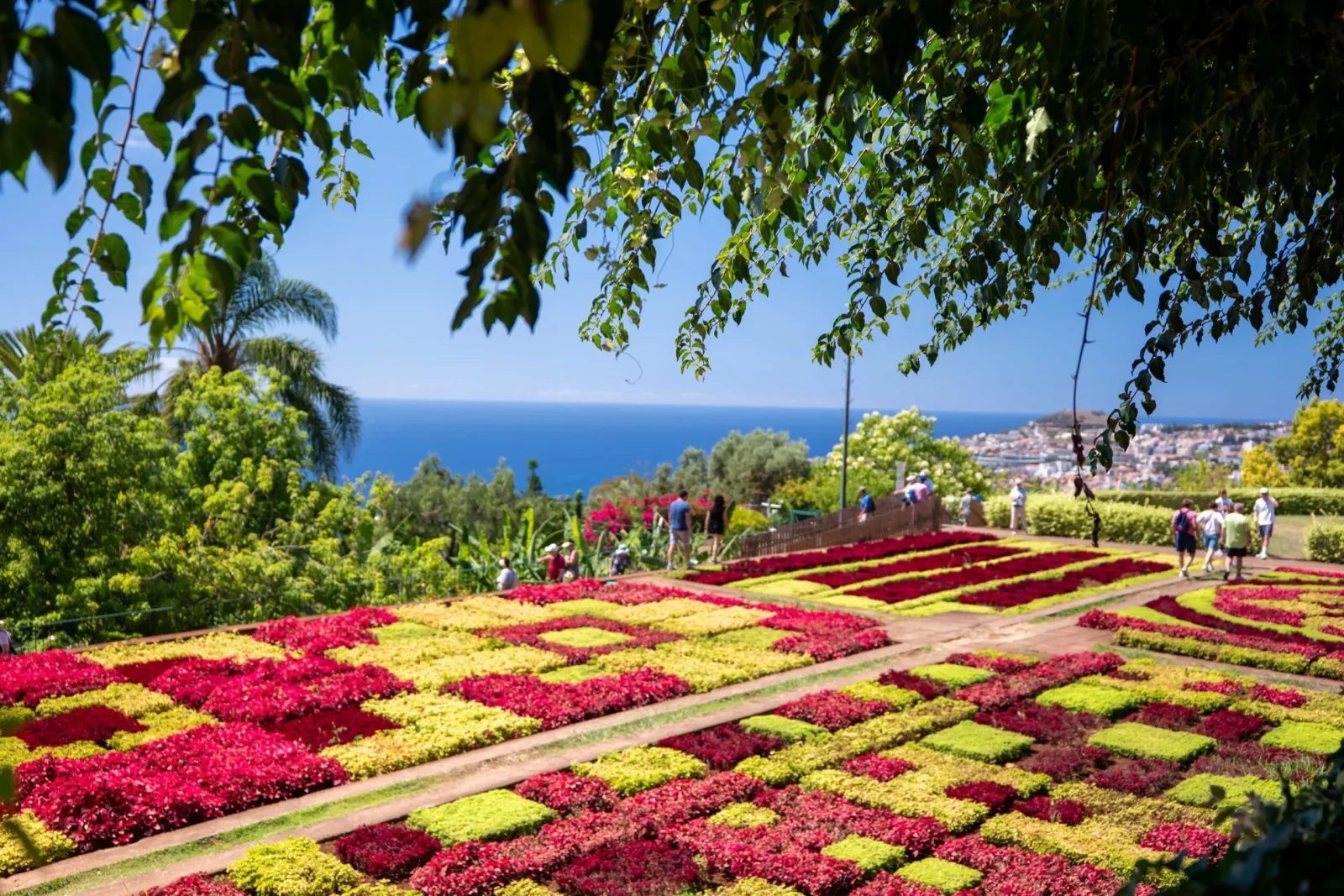 Jardim Botânico da Madeira (Engr. Rui Vieira)