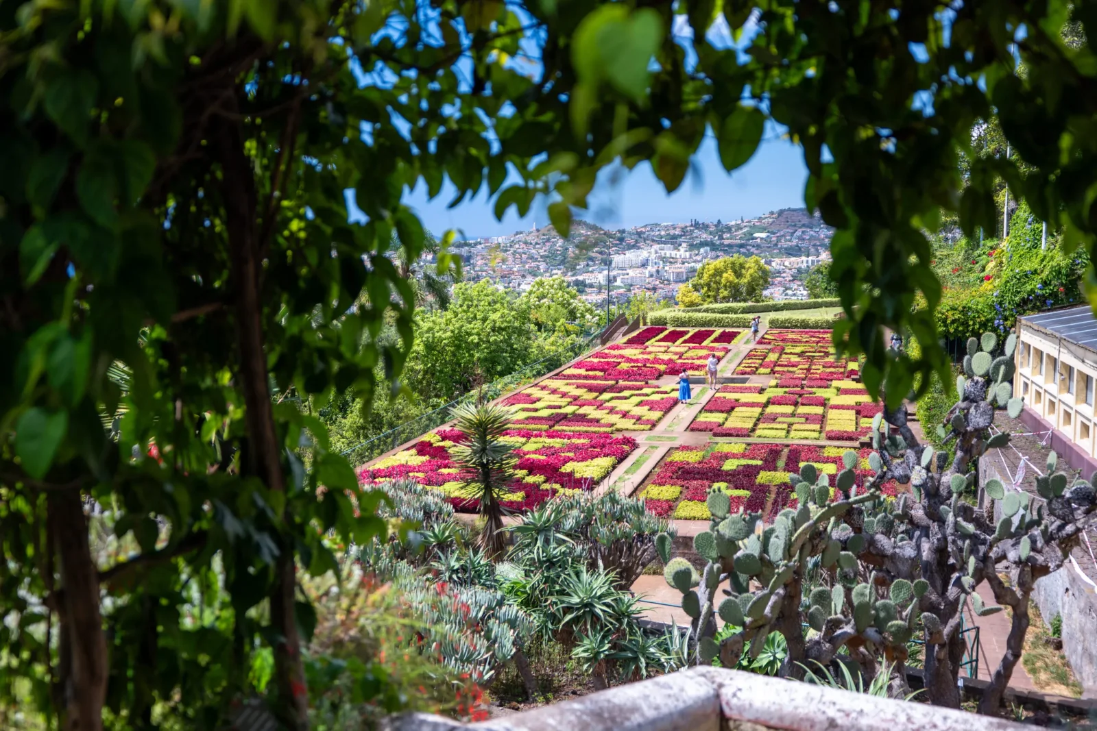 Jardim Botânico da Madeira (Engr. Rui Vieira)