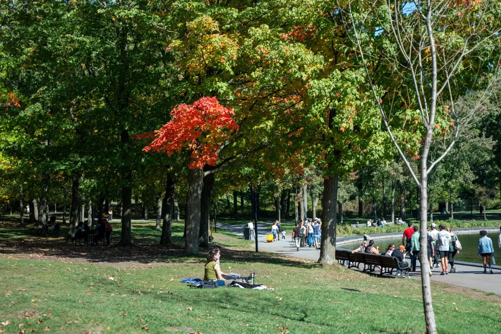 Mont-Royal
