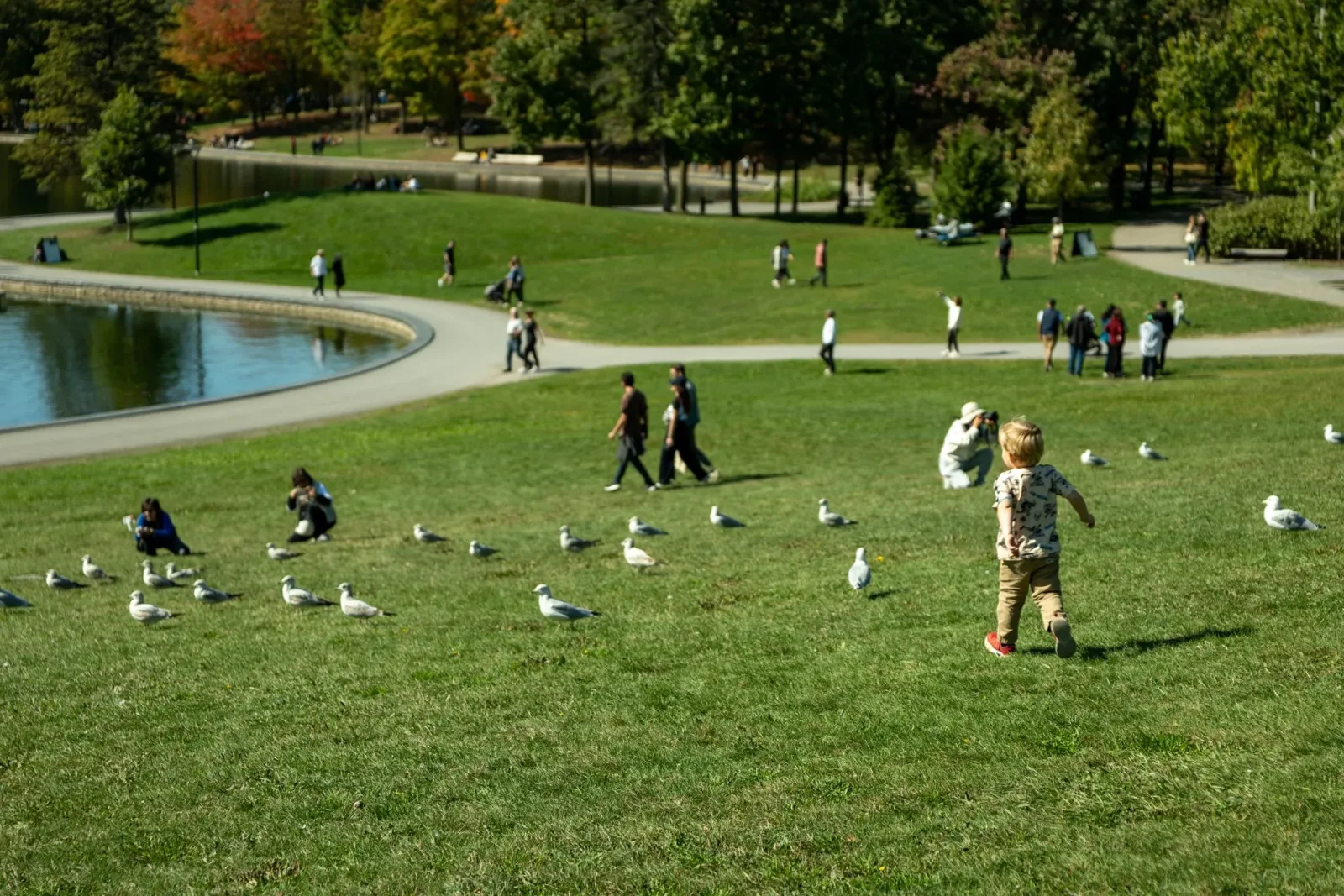 Mont-Royal