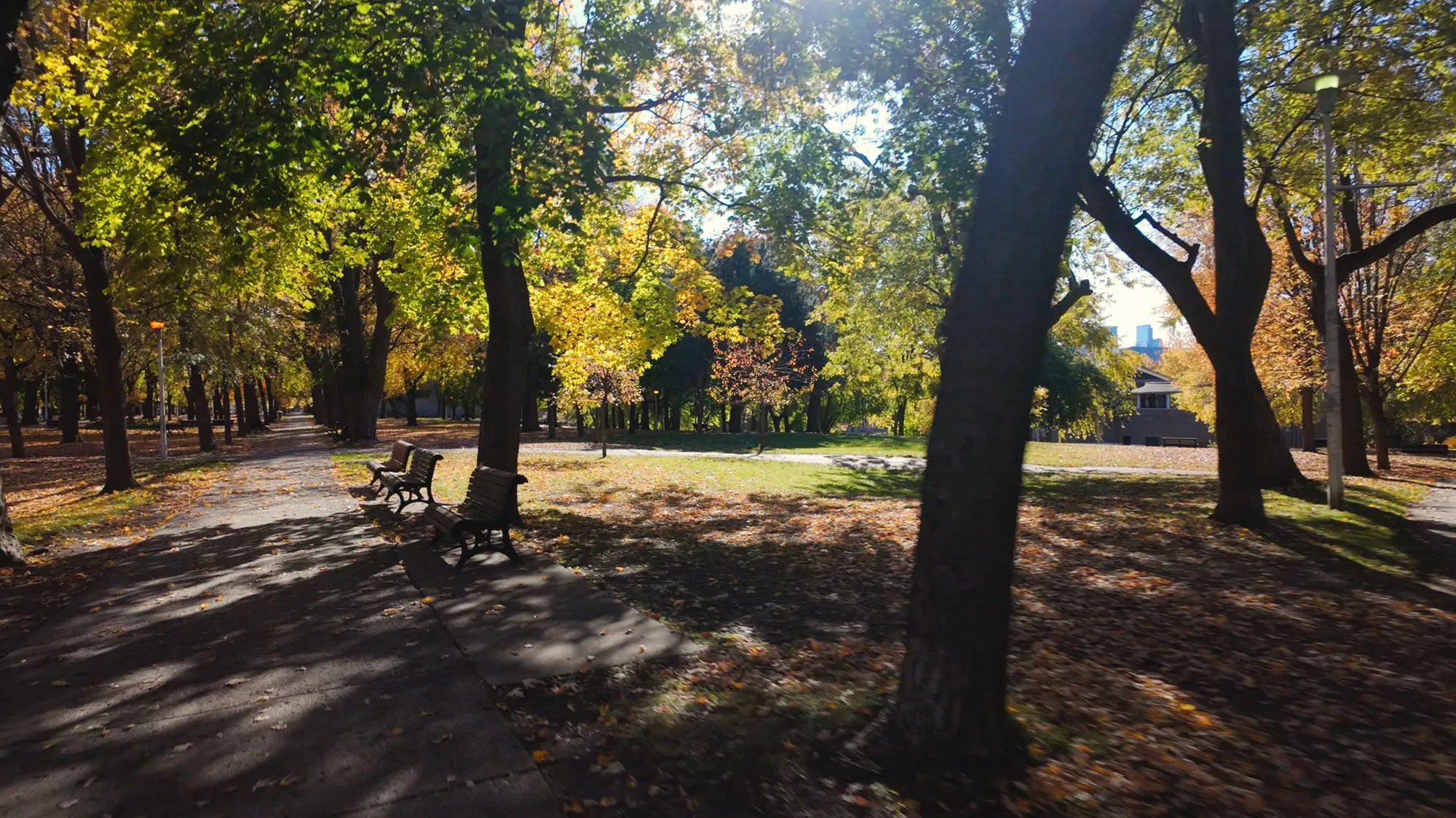 Parc La Fontaine