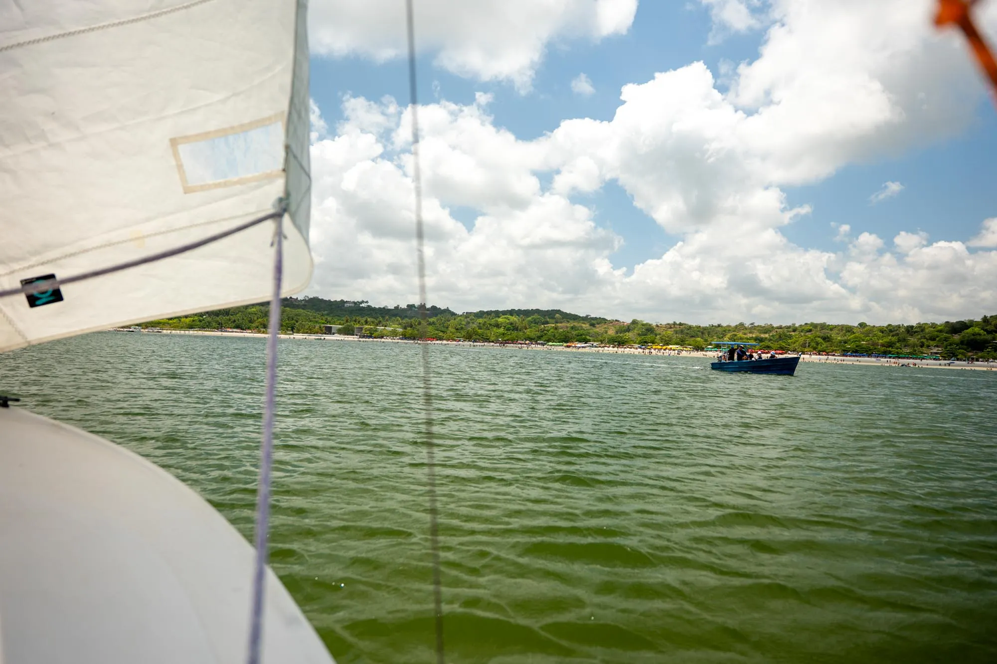 Detalhes da vela e cabos de um veleiro Day Sailer navegando em Pernambuco