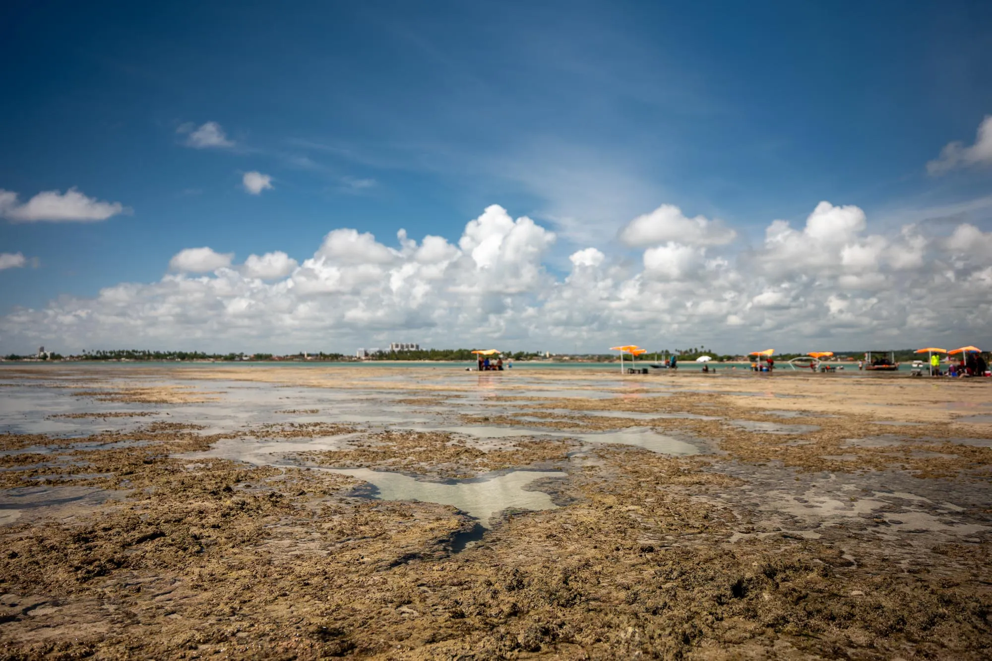 Águas cristalinas e rasas de Pocinhos ideal para banho em Pernambuco