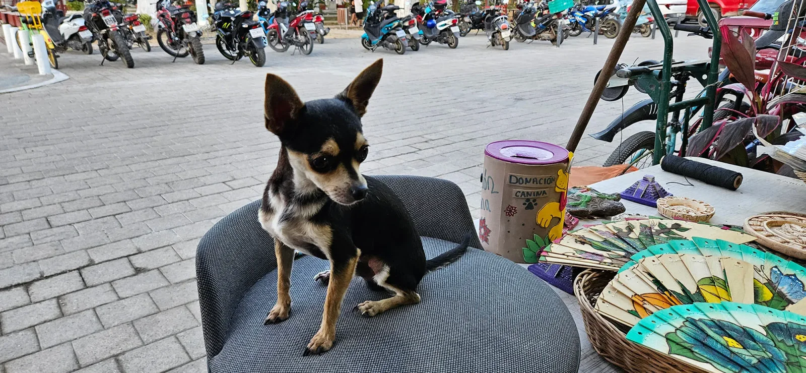 Feira e movimento noturno na praça central da vila mágica de Bacalar