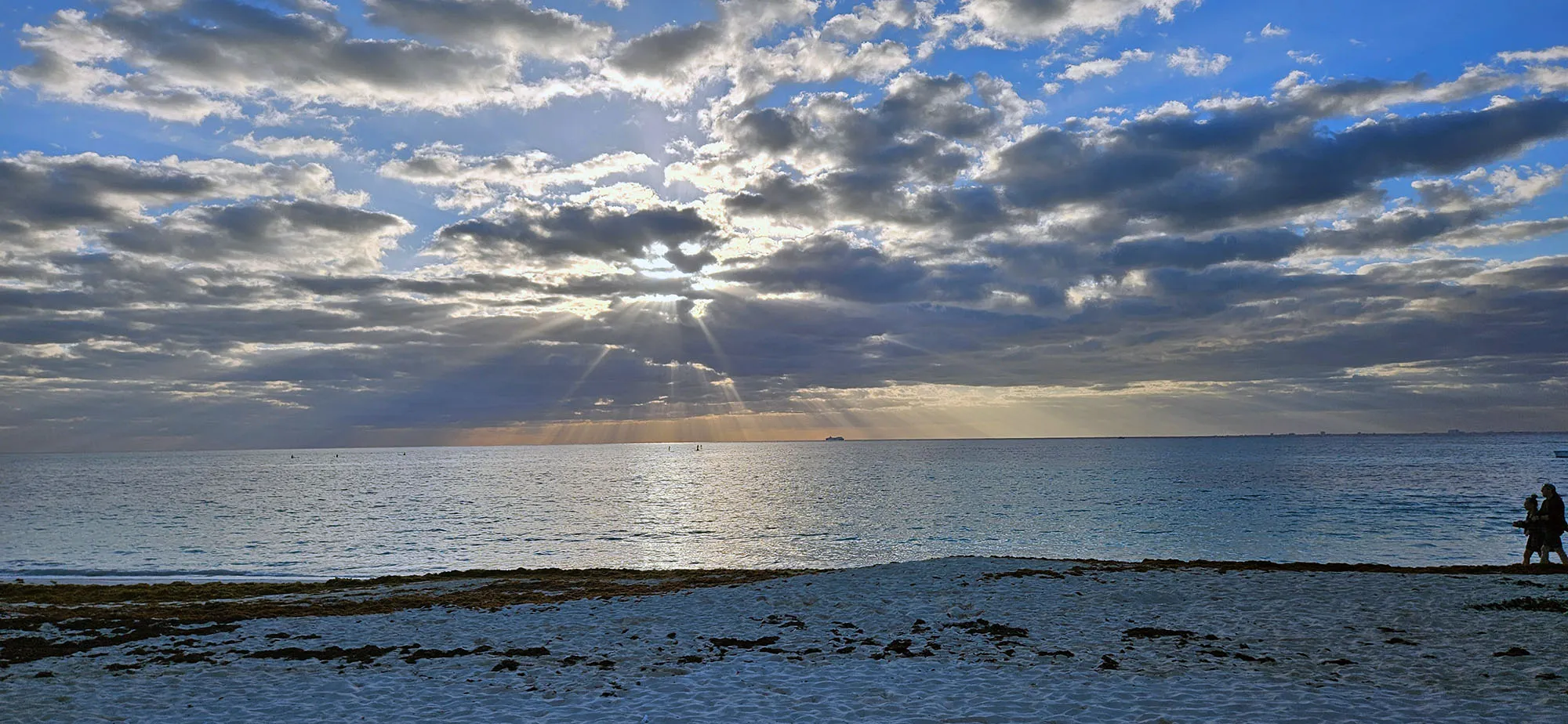 Algas marinhas sargaço cobrindo a faixa de areia na costa de Playa del Carmen